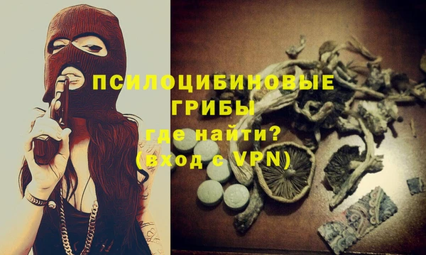 первитин Болотное