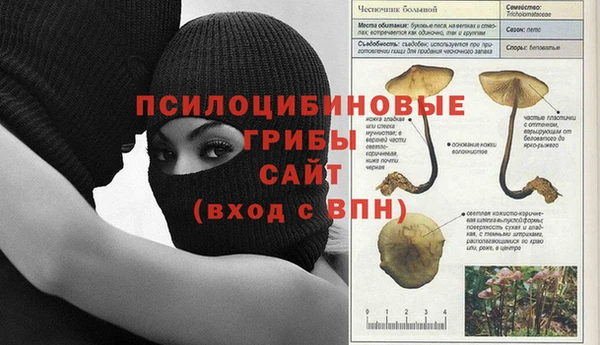 бошки Болохово