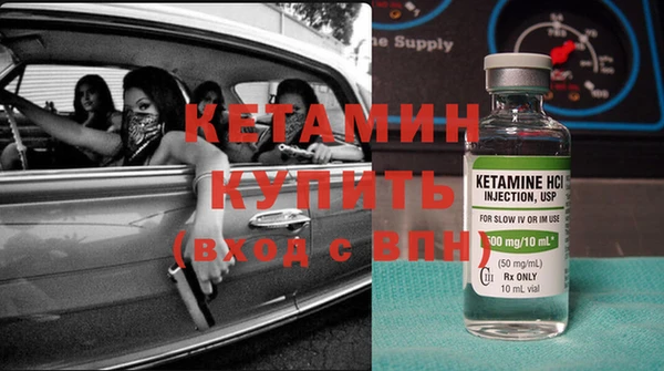 сатива Болхов