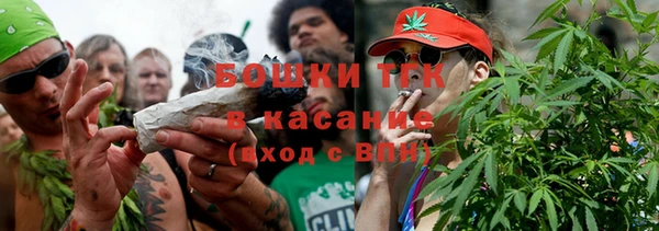 первитин Болотное