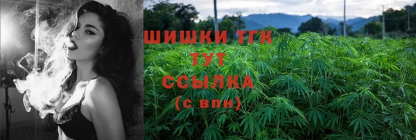 сатива Болхов