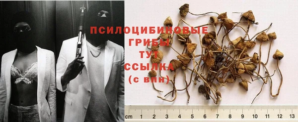 прущая мука Кинешма