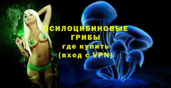 первитин Болотное