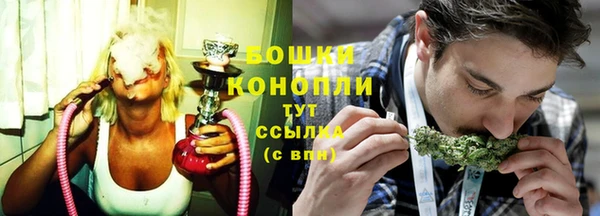 сатива Болхов