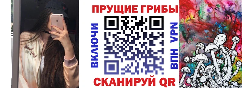 где найти Барнаул Псилоцибиновые грибы Psilocybine cubensis