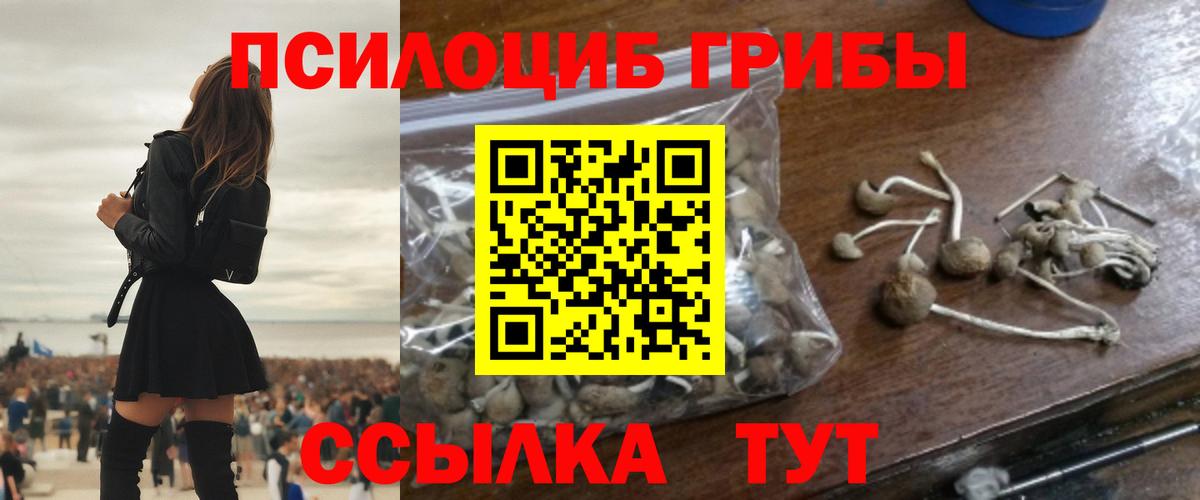 Галлюциногенные грибы ЛСД Россия